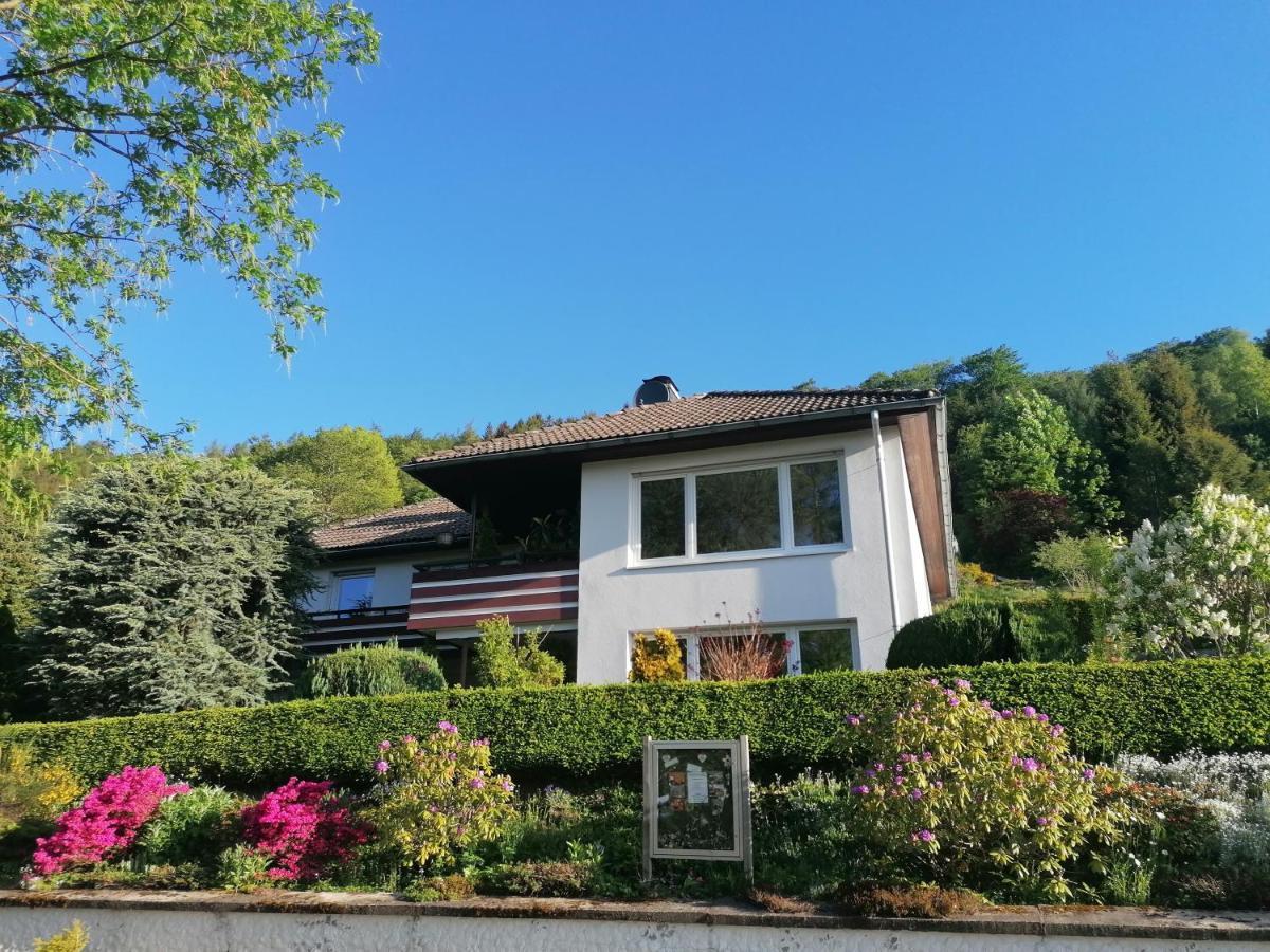 Haus Daniel Appartement Willingen (Upland)