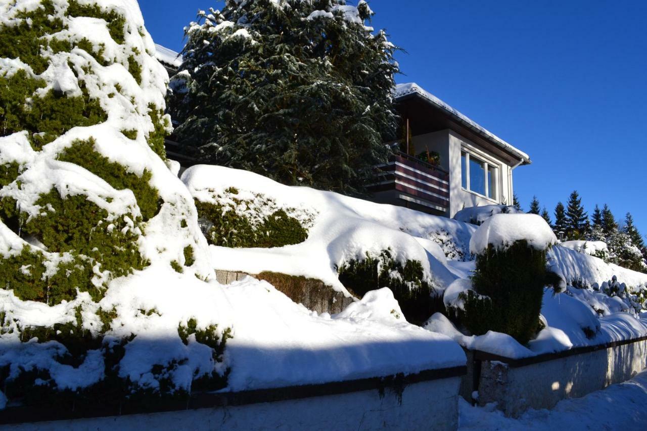 Appartement Haus Daniel Willingen (Upland)